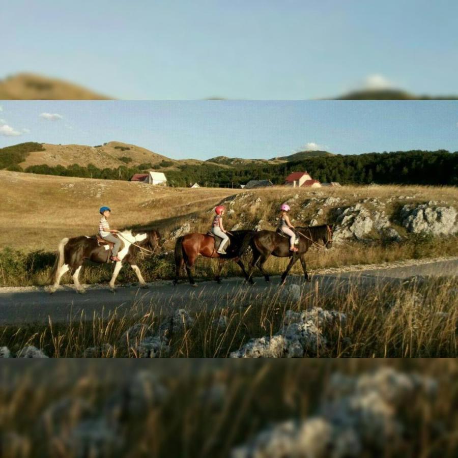 Rural Resort Tron Plužine Kültér fotó