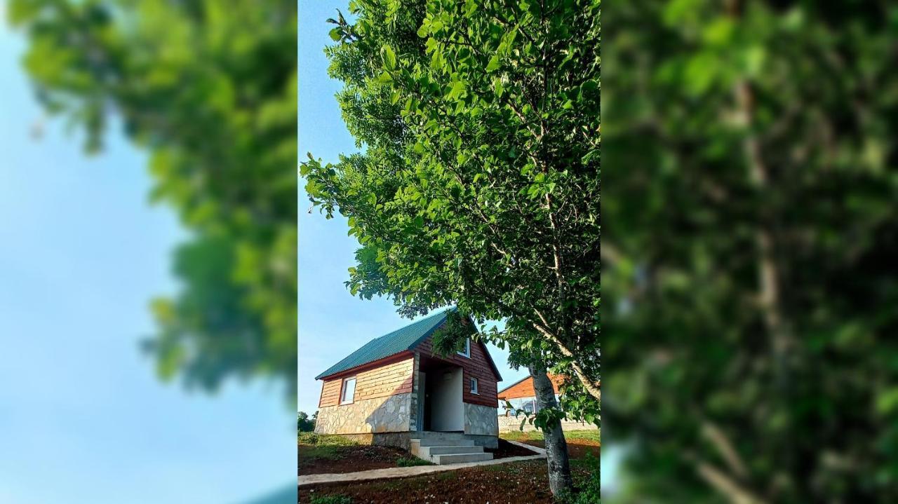 Rural Resort Tron Plužine Kültér fotó
